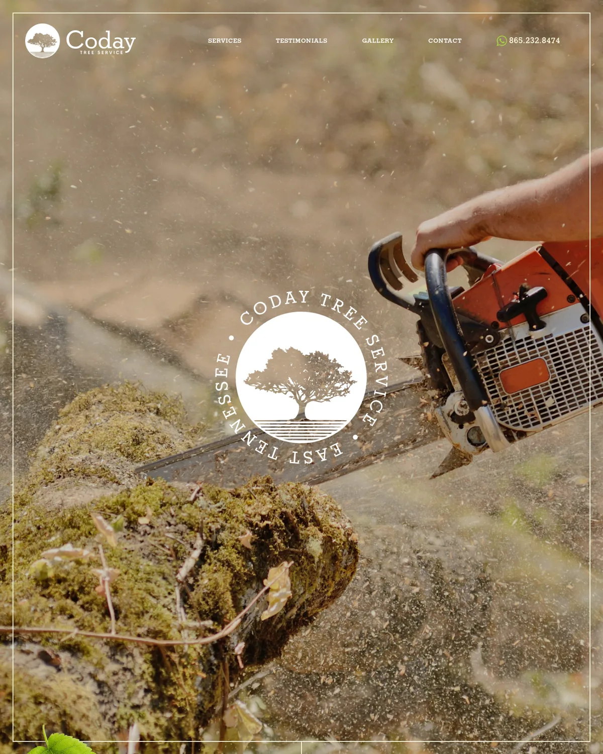Coday Tree Service website hero with tree logo and chainsaw photograph